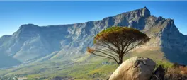 SANParks ready to welcome visitors to Table Mountain National Park this festive season SANParks ready to welcome visitors to Table Mountain National Park this festive season
