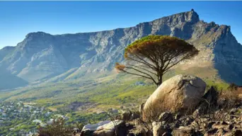 SANParks ready to welcome visitors to Table Mountain National Park this festive season SANParks ready to welcome visitors to Table Mountain National Park this festive season