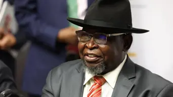 GNU parties come to defence of Godongwana after MK Party bays for his blood GNU parties come to defence of Godongwana after MK Party bays for his blood
