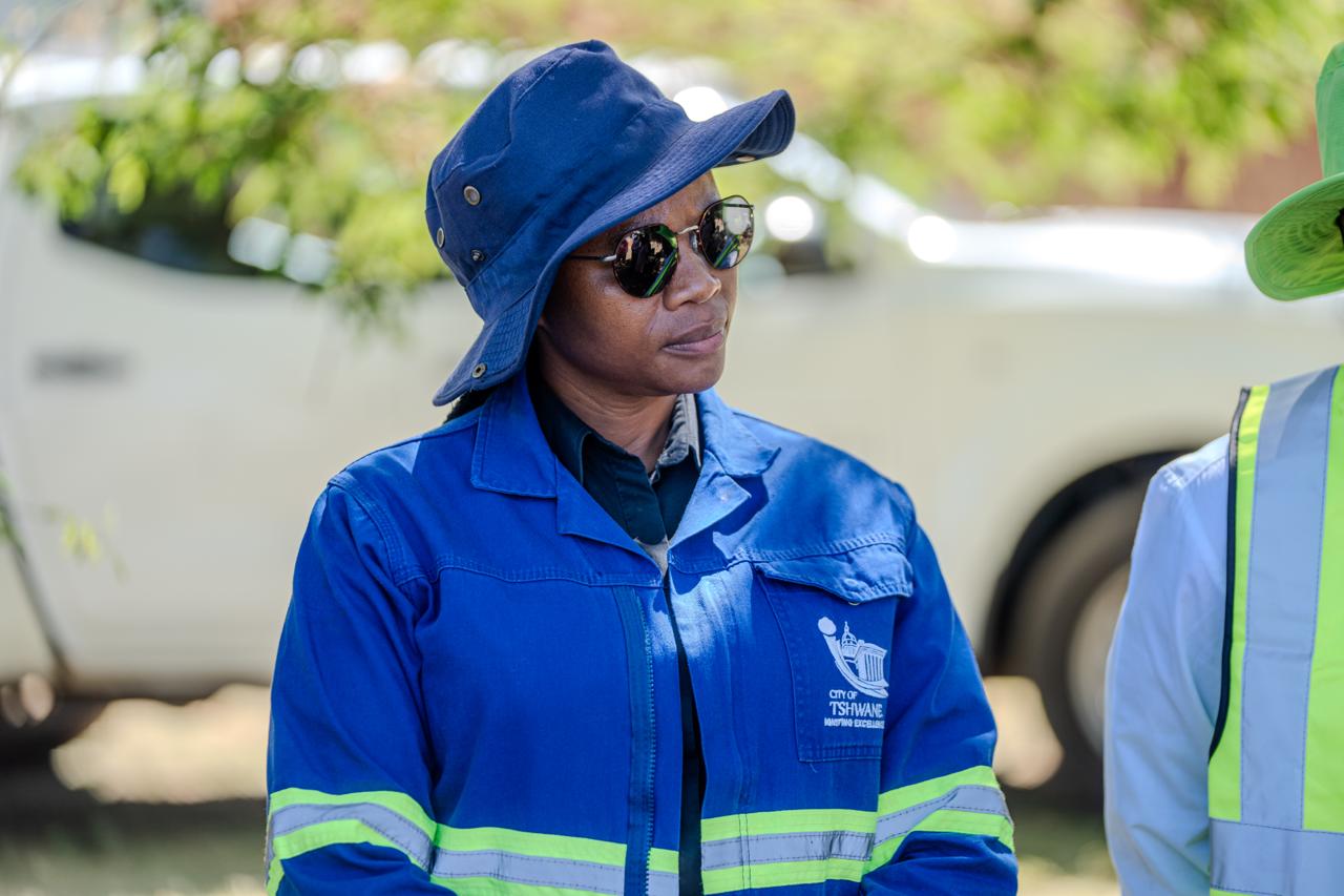 Bad record, new government job? Public Protector flags accountability ...