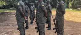 Nigeria turns illegal loggers, poachers into park rangers Nigeria turns illegal loggers, poachers into park rangers