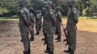 Nigeria turns illegal loggers, poachers into park rangers Nigeria turns illegal loggers, poachers into park rangers