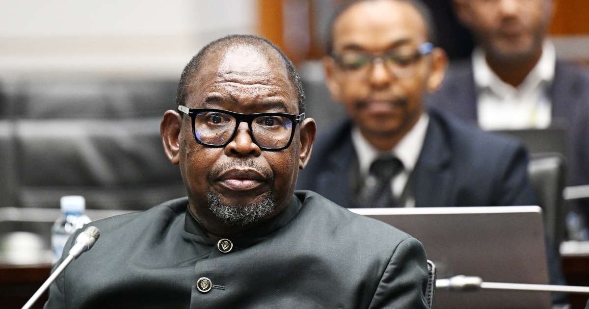 Treasury rejects calls to scrap B-BBEE amid GNU friction over economic ...