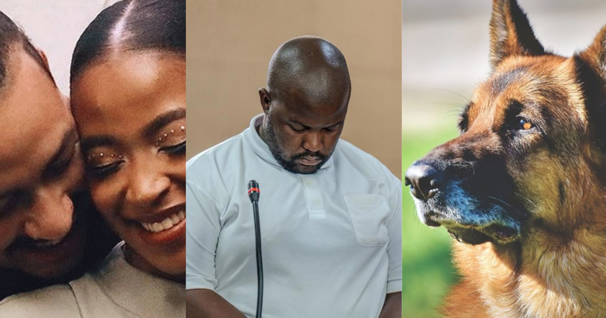 The day that was: Anele Tembe inquest continues, Vanderbijlpark scholar driver receives bail & former SAPS K9 severely injured - EWN