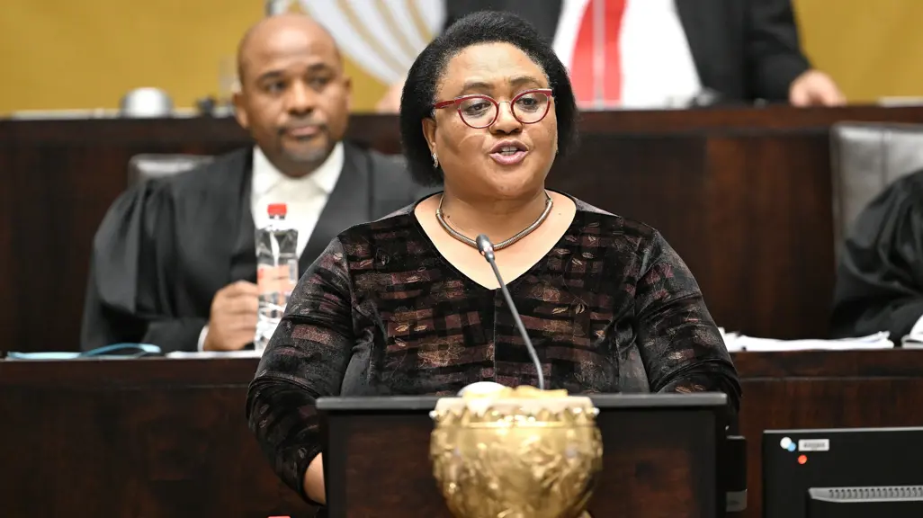 Thoko Thoko Didiza: SONA more than ceremony, it’s about executive accountability