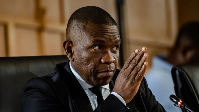 Mkhwanazi alleges ex-police minister Nathi Mthethwa forced former intelligence head to withdraw criminal case against Richard Mdluli