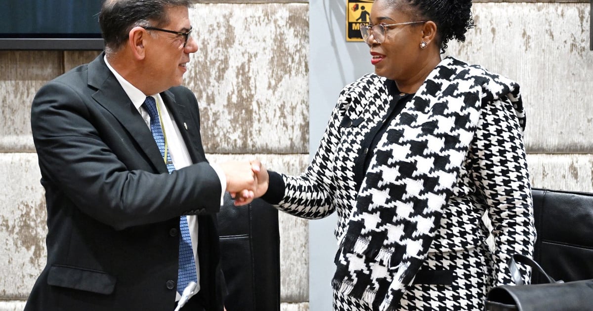 Parly’s ethics committee co-chair says she trusts that MPs were honest about disclosing financial interests