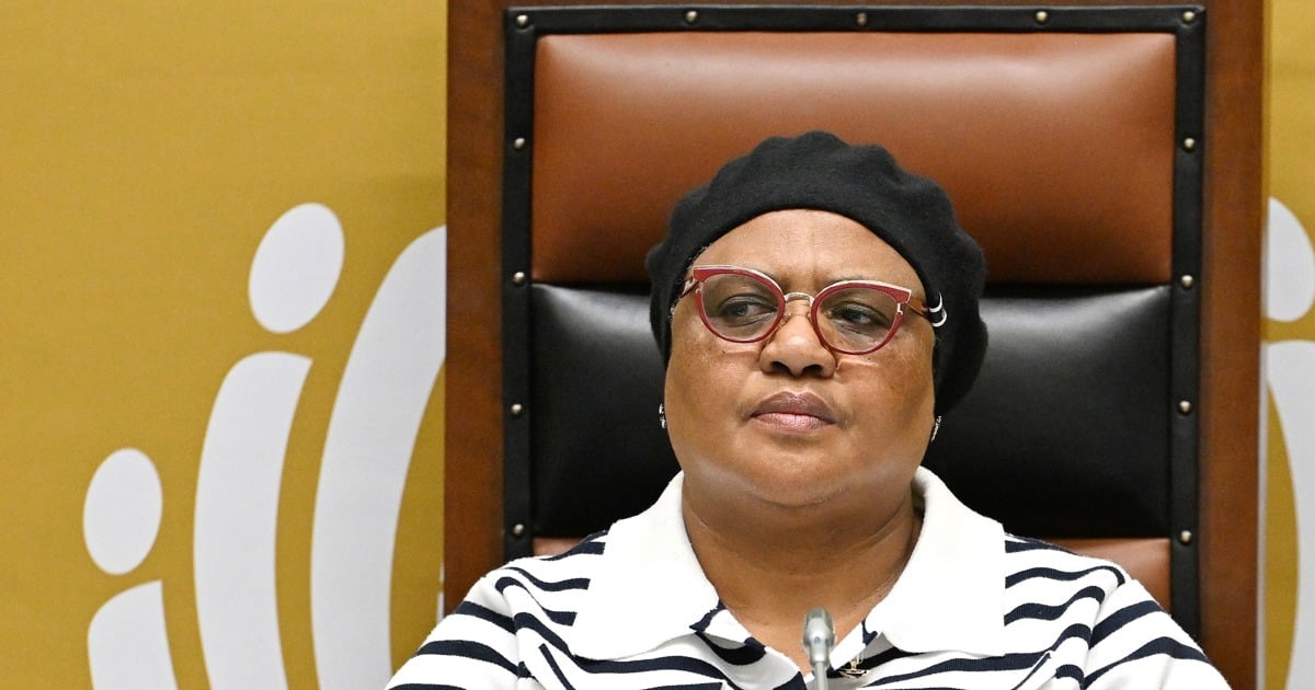 Didiza puts pressure on police corruption ad hoc committee to wrap up long-overdue report - EWN