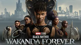'Wakanda Forever': An appropriately poignant tribute to a Marvel legend 'Wakanda Forever': An appropriately poignant tribute to a Marvel legend