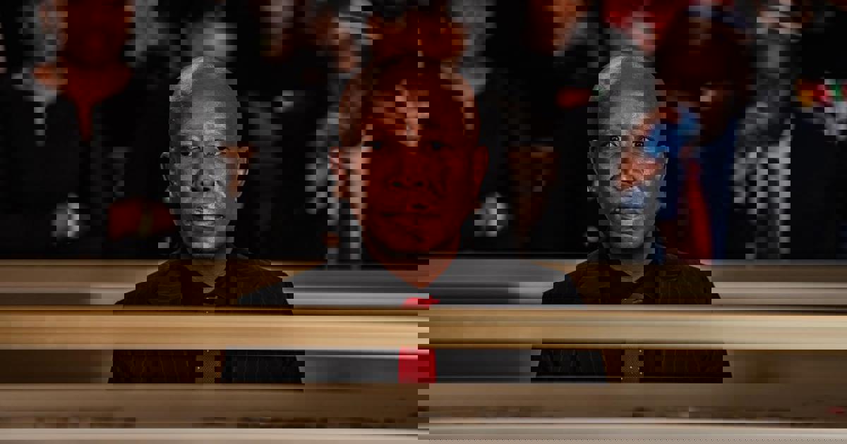 Political parties weigh in on Malema sentencing