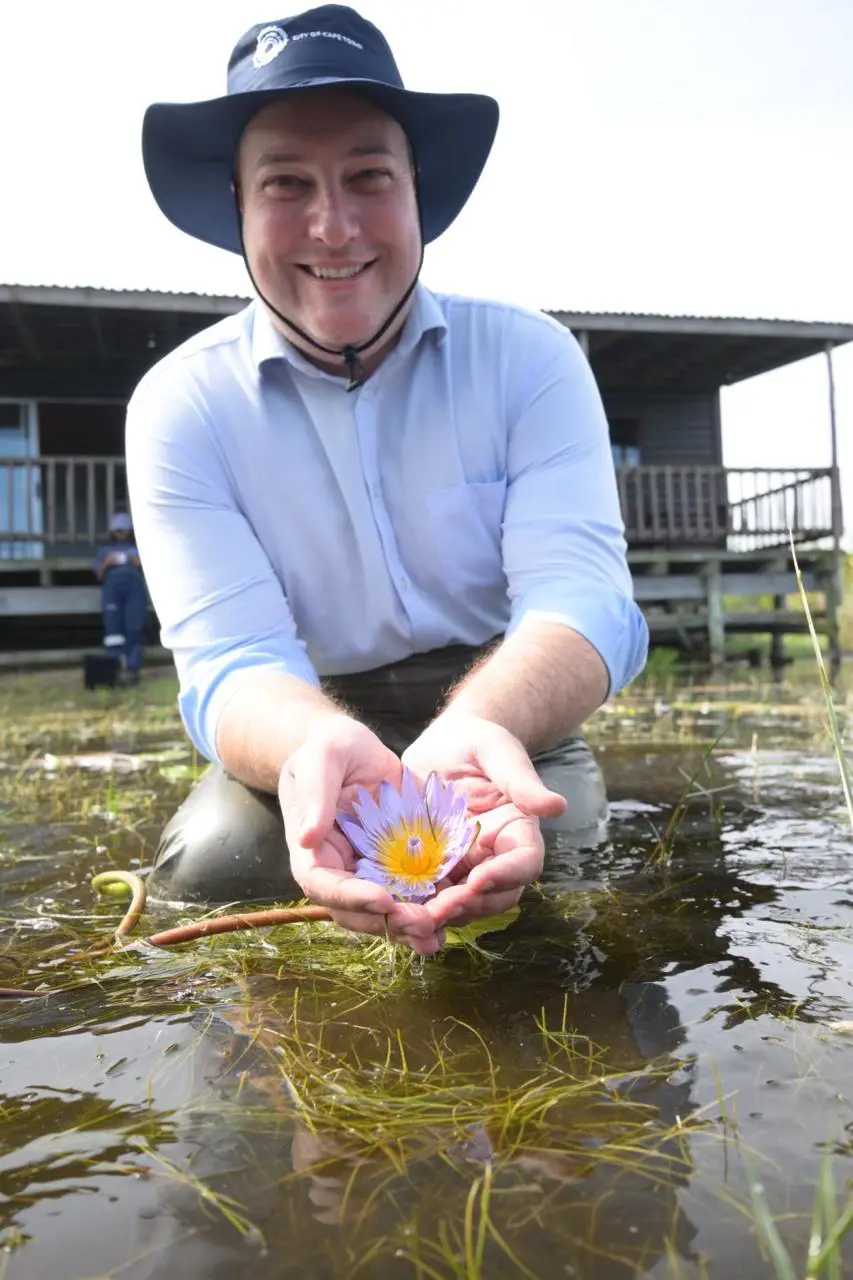 Cape Town Mayor Geordin Hill-Lewis holds a Cape Water Lily, now dubbed the 'Earthshot Lily'. Picture: Supplied Cape Town Mayor Geordin Hill-Lewis holds a Cape Water Lily, now dubbed the 'Earthshot Lily'. Picture: Supplied