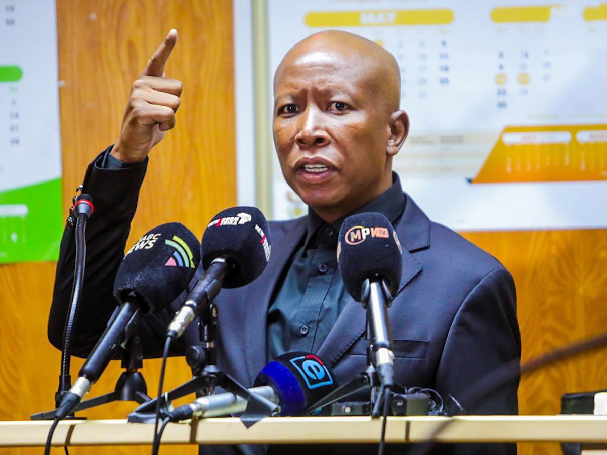 You brought me here wrongly': Malema lashes out at State advocate