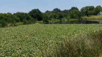 Water pollution negatively impacting Mogale City businesses Water pollution negatively impacting Mogale City businesses