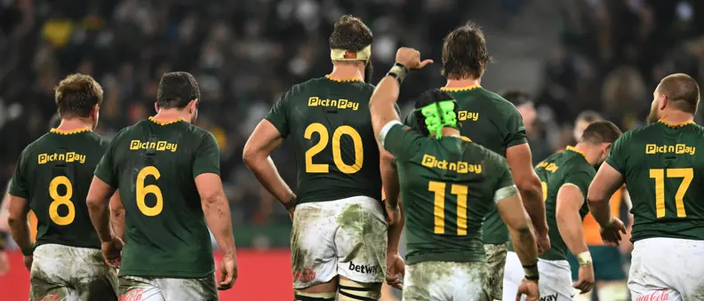 Springbok Drive EWN | Springboks